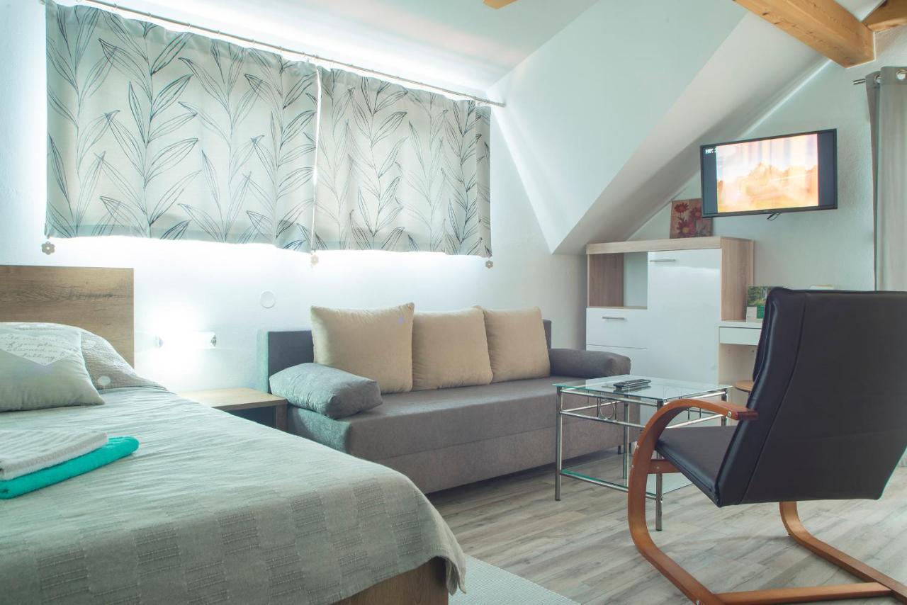 Studio Apartment Karlo Drežnik Grad Eksteriør bilde
