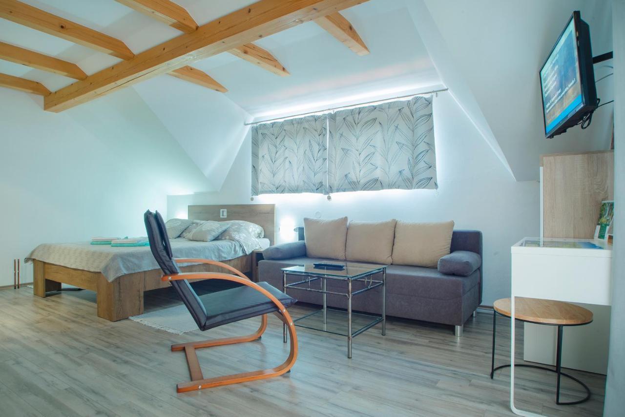 Studio Apartment Karlo Drežnik Grad Eksteriør bilde