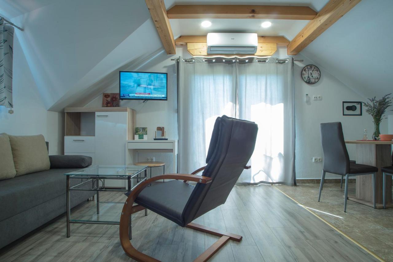 Studio Apartment Karlo Drežnik Grad Eksteriør bilde