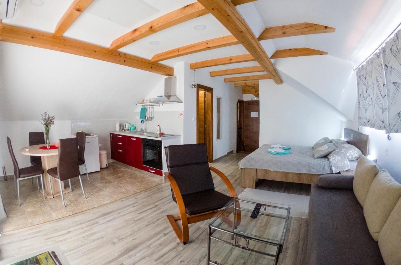Studio Apartment Karlo Drežnik Grad Eksteriør bilde