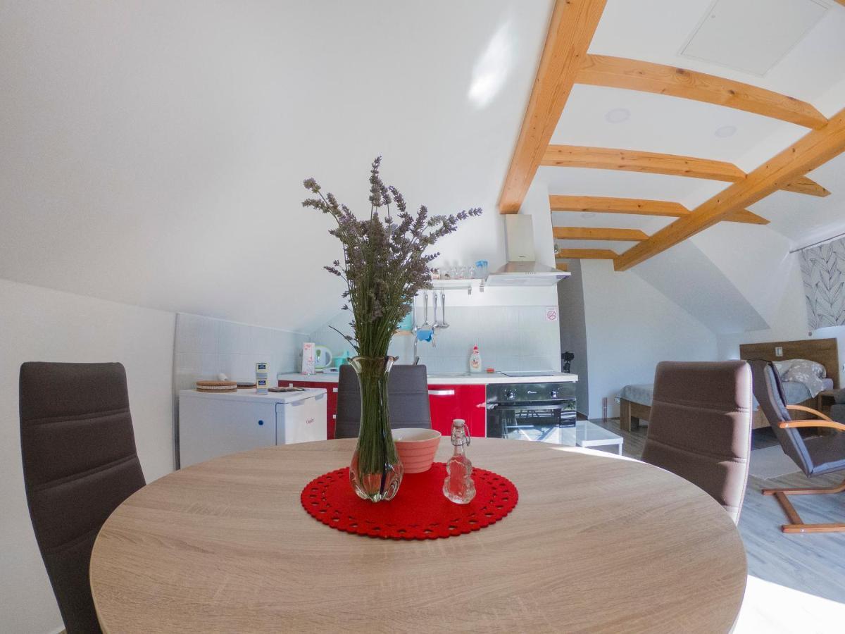 Studio Apartment Karlo Drežnik Grad Eksteriør bilde
