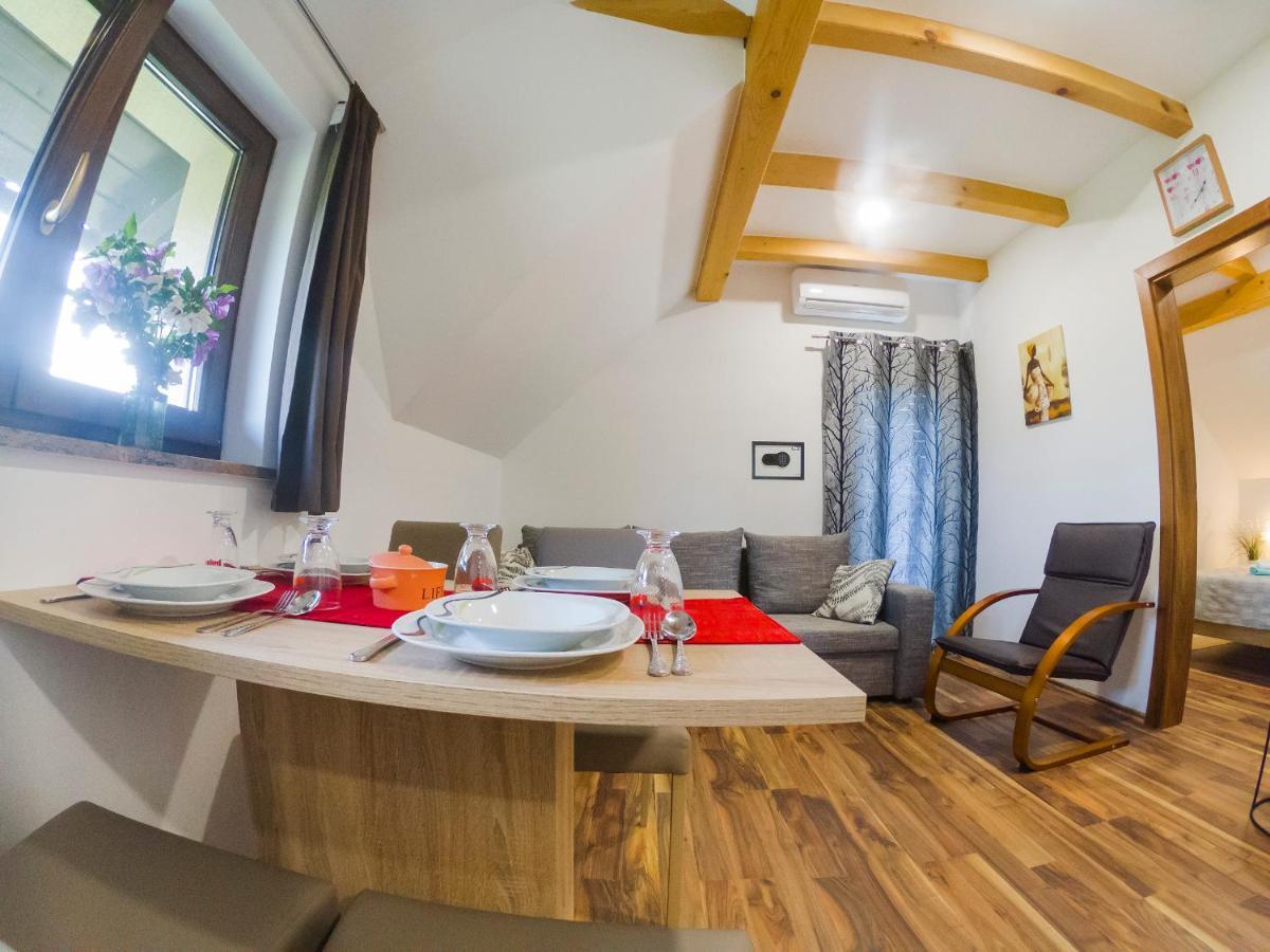 Studio Apartment Karlo Drežnik Grad Eksteriør bilde